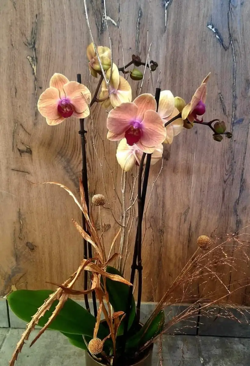 Les Bouquets De Delphine Fleuriste Mesnils Sur Iton Mes Realisations 01
